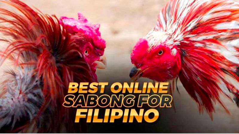 Brief introduction to the prestigious sabonginternational platform in the Philippines: