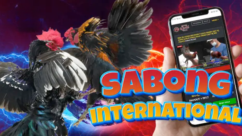 Common mistakes to avoid when playing sabong betting